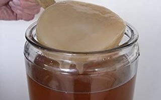 kombucha casera